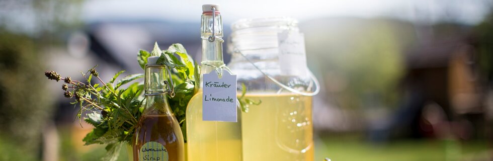 limonade familienhotel ebbinghof