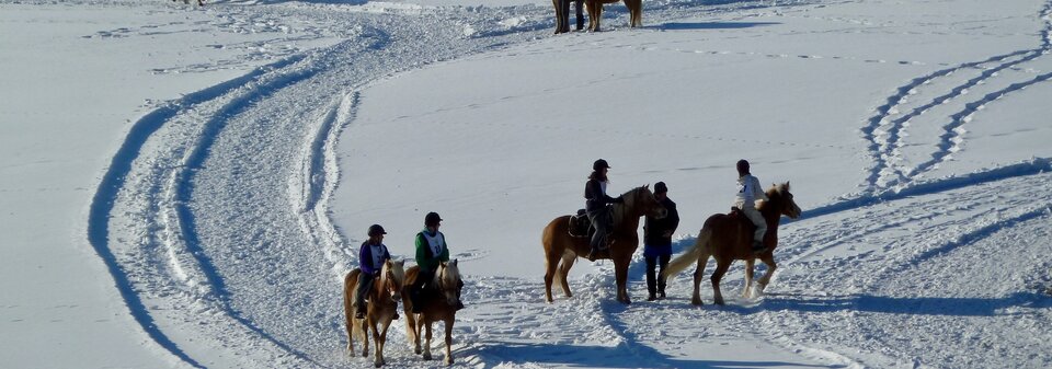 Winterurlaub Reiten Winterurlaub Reiten